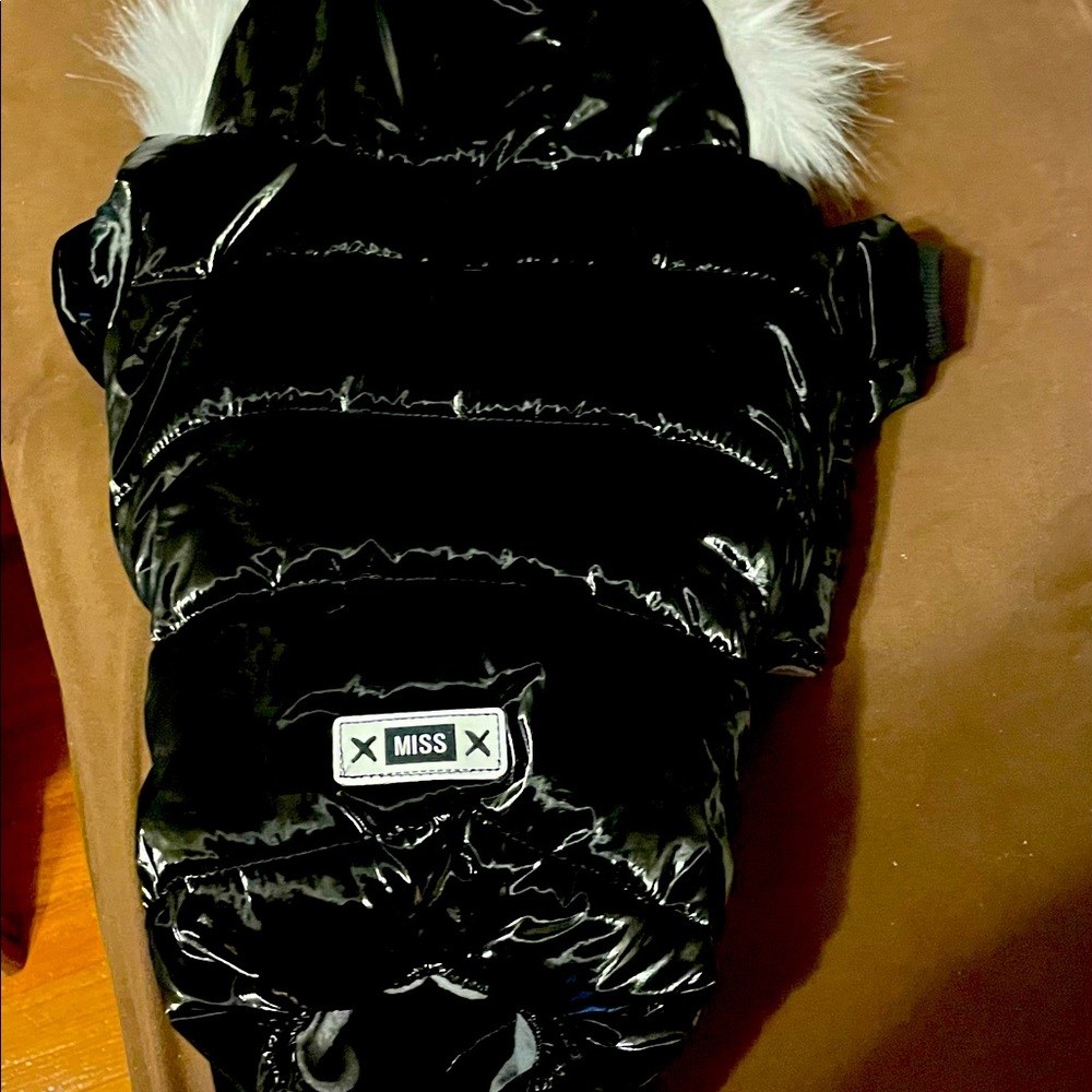 Dog Outfit XL NWT